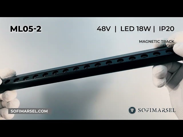 ML05-2/ML05-4 LAMPA MAGNETYCZNA SZYNOWA