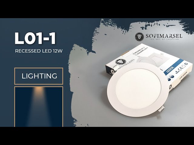 L01-1 PANEL LED